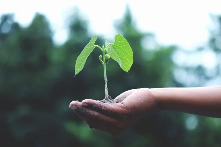 Dr. Hewitt Featured on C4E Presents Podcast Discussing Sustainability and Social Factors